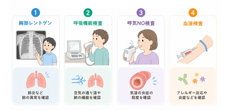 胸部レントゲン・呼吸機能検査・呼気NO検査・血液検査の図解