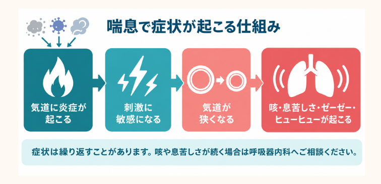 「喘息で症状が起こる仕組み」の図解作成