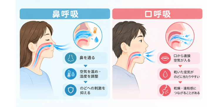 「鼻呼吸と口呼吸の違い」が分かる図解